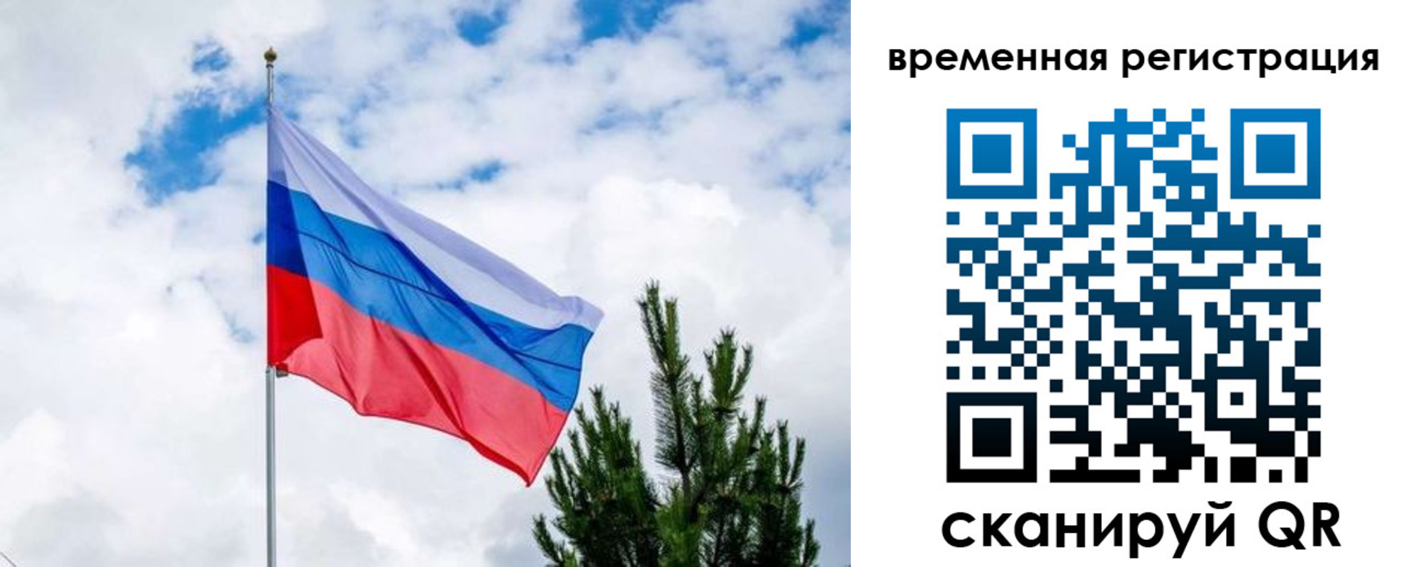 прописка законно в Димитровграде